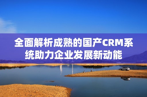 全面解析成熟的国产CRM系统助力企业发展新动能