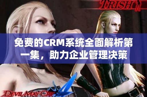 免费的CRM系统全面解析第一集，助力企业管理决策
