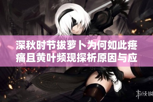 深秋时节拔萝卜为何如此疼痛且黄叶频现探析原因与应对措施