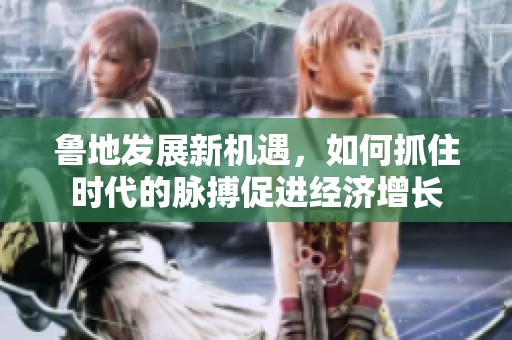 鲁地发展新机遇，如何抓住时代的脉搏促进经济增长