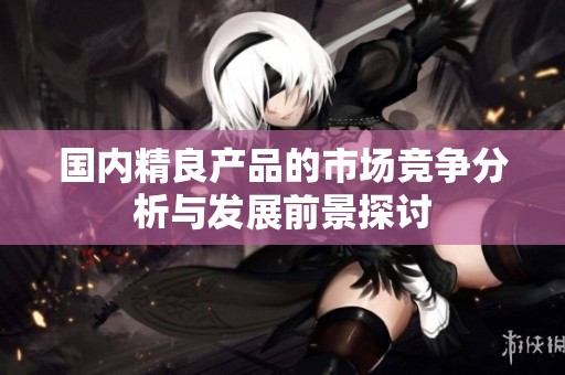 国内精良产品的市场竞争分析与发展前景探讨