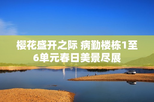樱花盛开之际 病勤楼栋1至6单元春日美景尽展