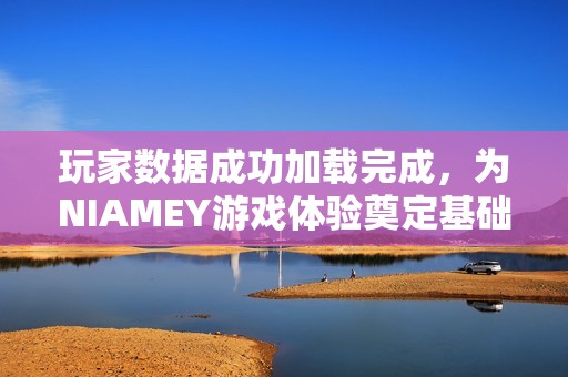 玩家数据成功加载完成，为NIAMEY游戏体验奠定基础