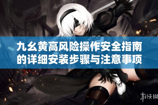 九幺黄高风险操作安全指南的详细安装步骤与注意事项
