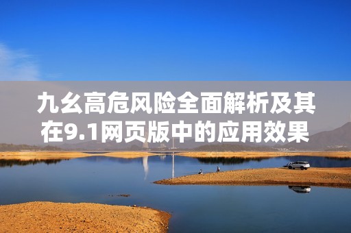 九幺高危风险全面解析及其在9.1网页版中的应用效果分析