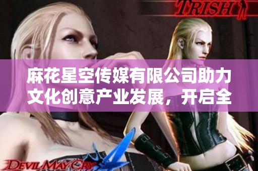 麻花星空传媒有限公司助力文化创意产业发展，开启全新篇章
