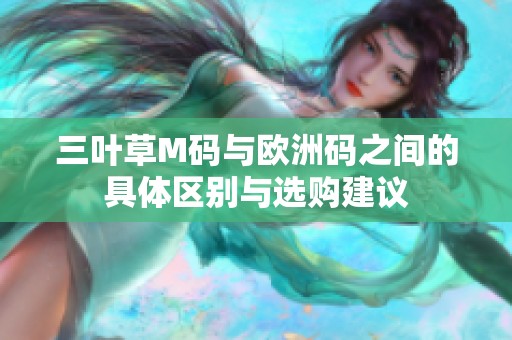 三叶草M码与欧洲码之间的具体区别与选购建议