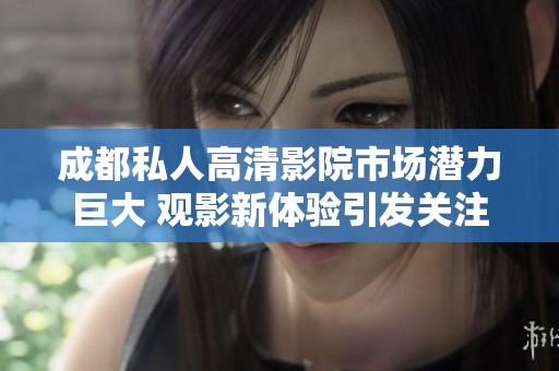 成都私人高清影院市场潜力巨大 观影新体验引发关注