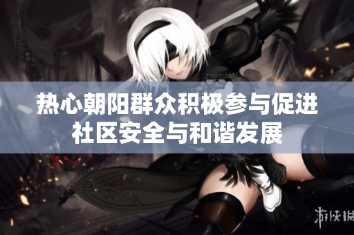 热心朝阳群众积极参与促进社区安全与和谐发展