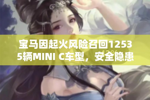 宝马因起火风险召回12535辆MINI C车型，安全隐患引关注