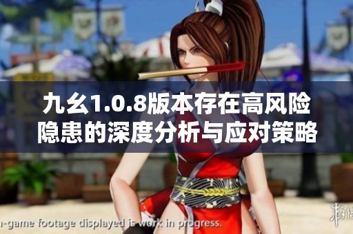九幺1.0.8版本存在高风险隐患的深度分析与应对策略