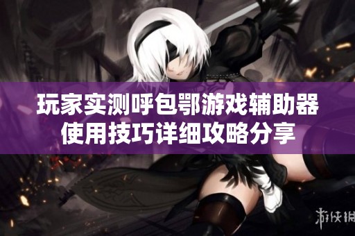 玩家实测呼包鄂游戏辅助器使用技巧详细攻略分享