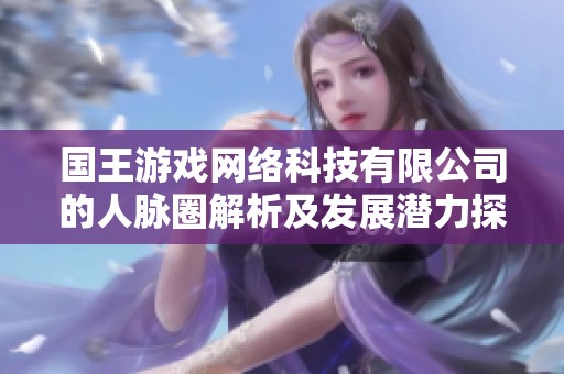 国王游戏网络科技有限公司的人脉圈解析及发展潜力探讨
