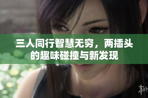 三人同行智慧无穷，两插头的趣味碰撞与新发现