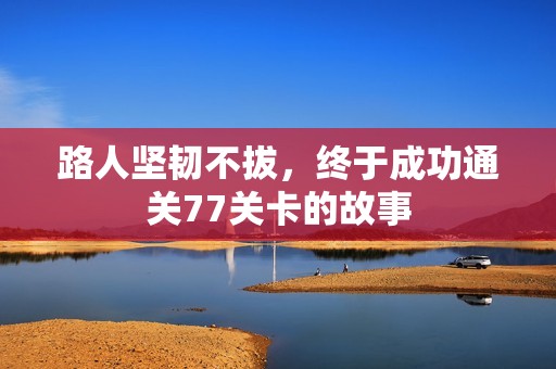 路人坚韧不拔，终于成功通关77关卡的故事
