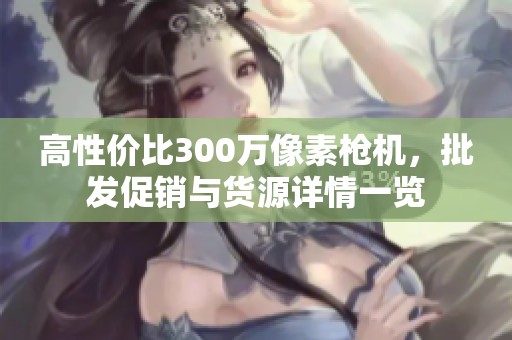 高性价比300万像素枪机，批发促销与货源详情一览