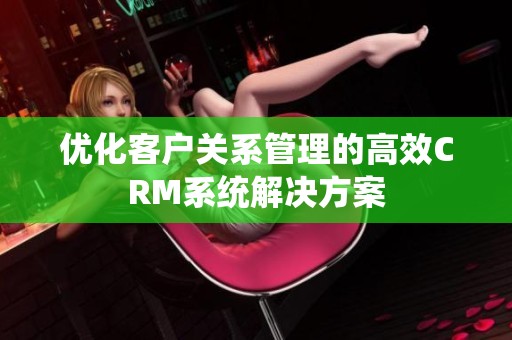 优化客户关系管理的高效CRM系统解决方案
