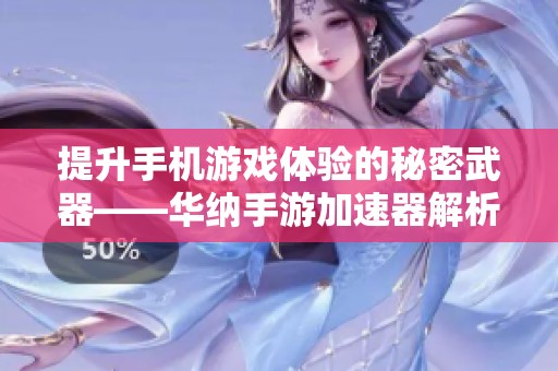提升手机游戏体验的秘密武器——华纳手游加速器解析